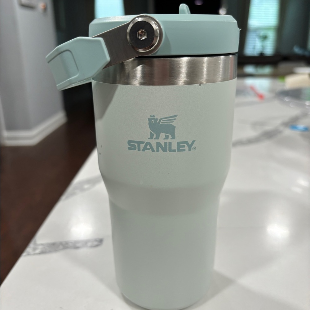 Stanley Iceflow 20 oz in color Mist.